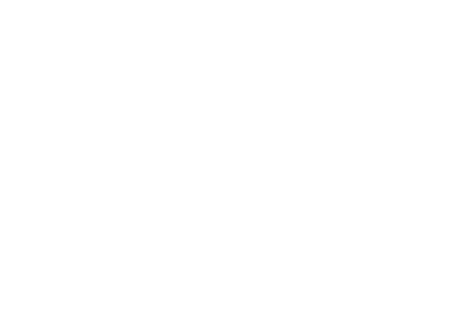 LOGO ML2V